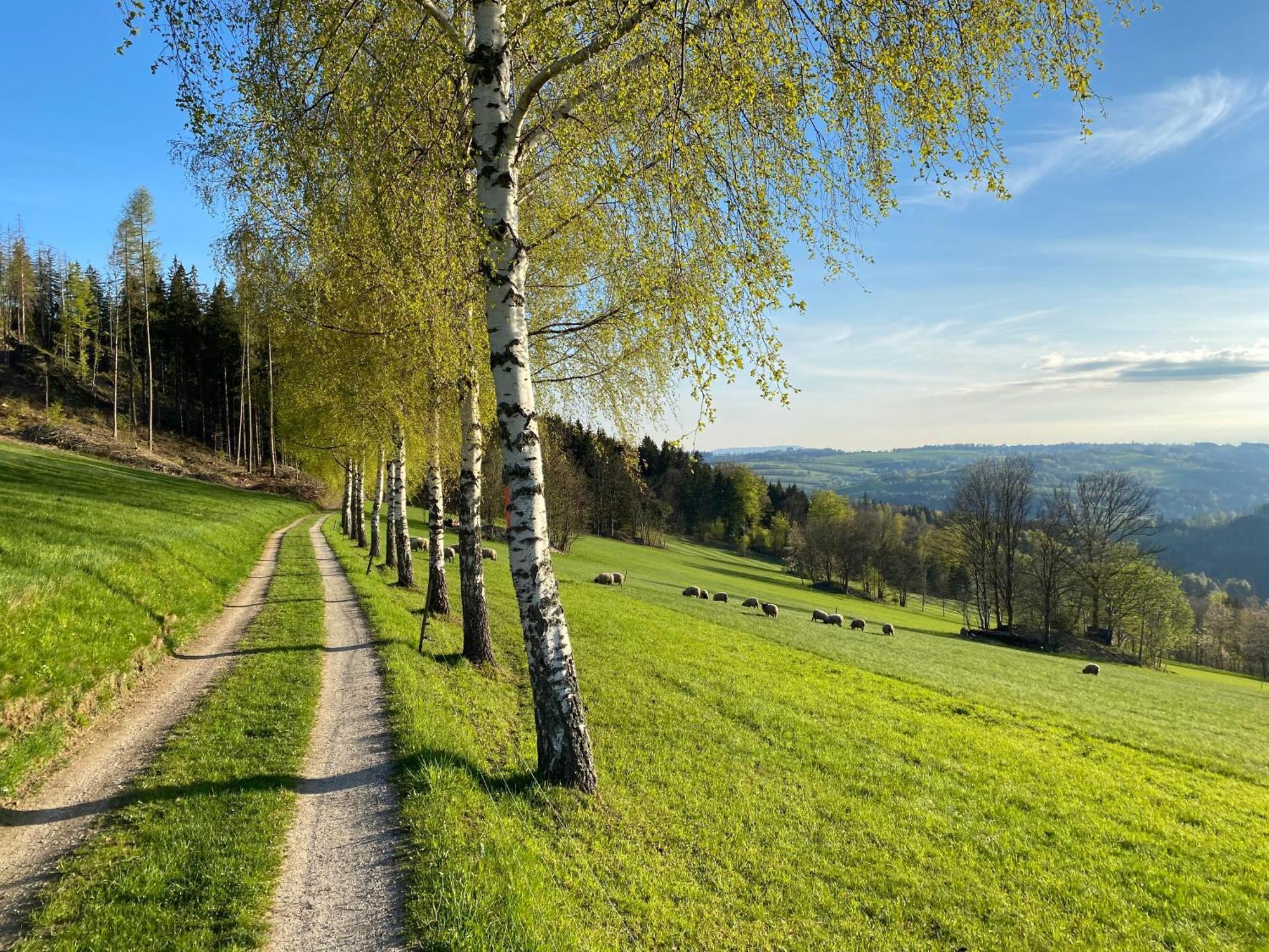 Krkonossky Apartman Bratrouchov Jablonec nad Jizerou Buitenkant foto